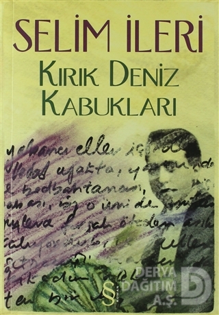 KIRIK DENİZ KABUKLARI