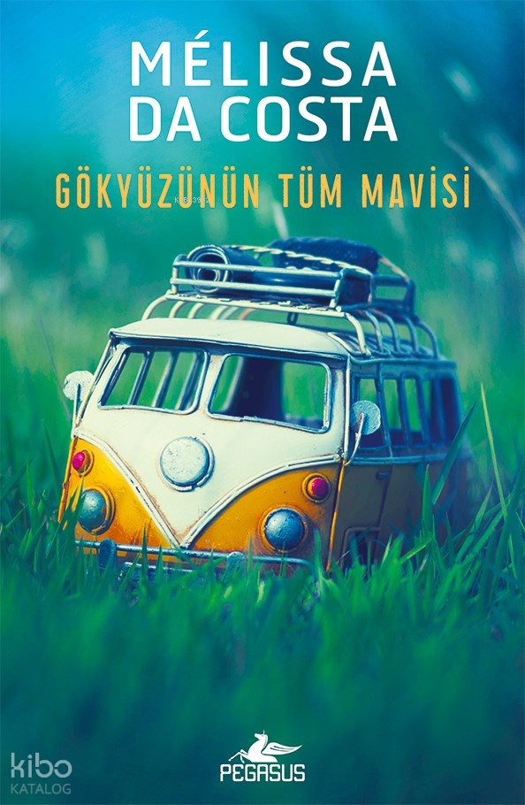 Gökyüzünün Tüm Mavisi