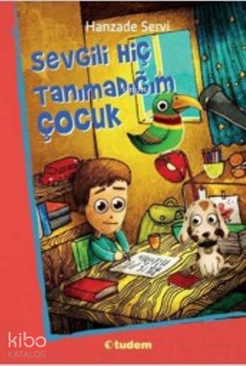 Sevgili Hiç Tanımadığım Çocuk - Hanzade Servi
