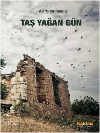 Taş Yağan Gün - Ali Yıldırımoğlu