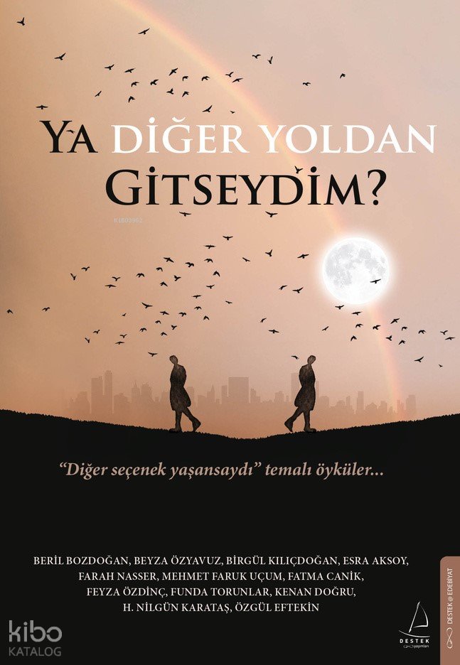 Ya Diğer Yoldan Gitseydim?