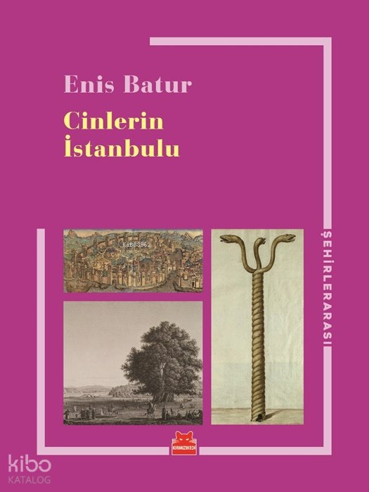 Cinlerin İstanbulu - Enis Batur