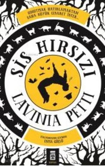 Sis Hırsızı