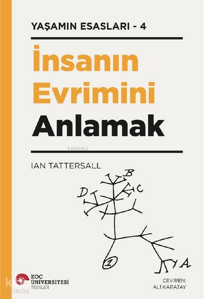İnsanın Evrimini Anlamak