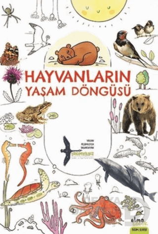 HAYVANLARIN YAŞAM DÖNGÜSÜ (BİLİM SERİSİ)