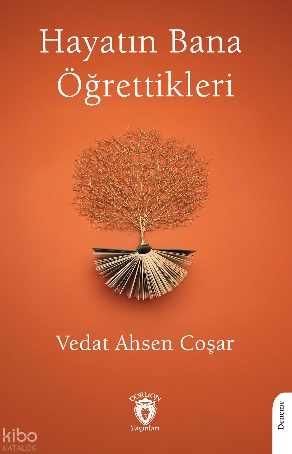 Hayatın Bana Öğrettikleri - Vedat Ahsen Coşar