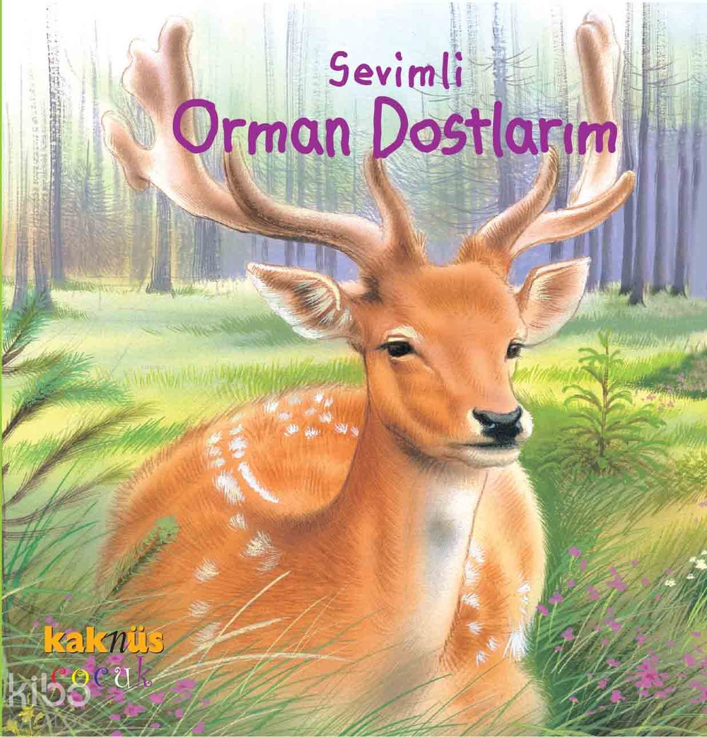 Sevimli Orman Dostlarım (0-5 Yaş)