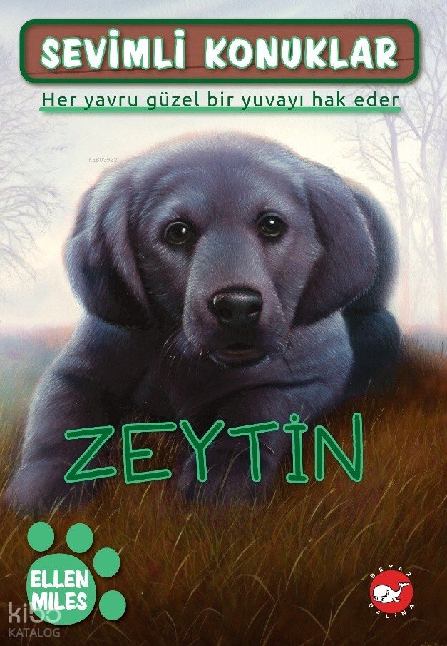 Zeytin