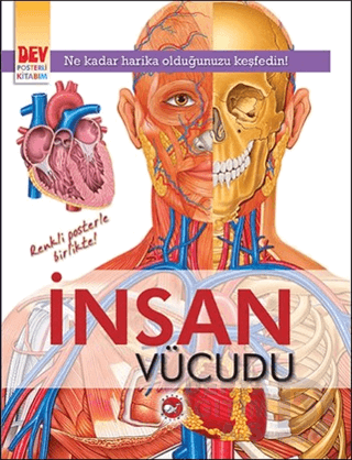 İNSAN VÜCUDU - DEV POSTERLİ KİTAP