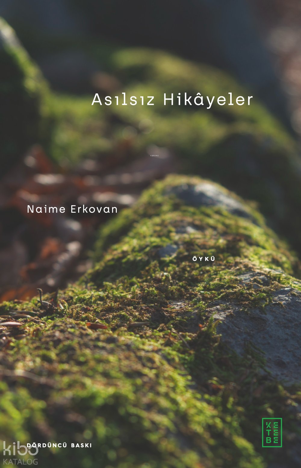 Asılsız Hikâyeler - Naime Erkovan