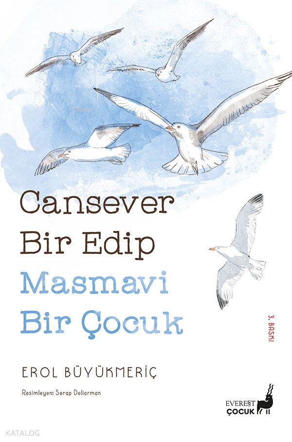 Cansever Bir Edip Masmavi Bir Çocuk - Erol Büyükmeriç