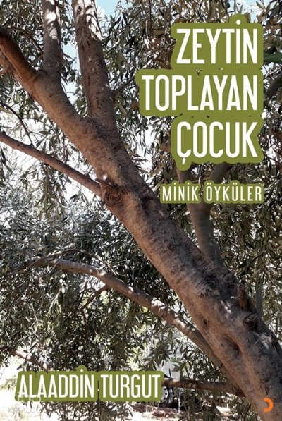 Zeytin Toplayan Çocuk - Alaaddin Turgut