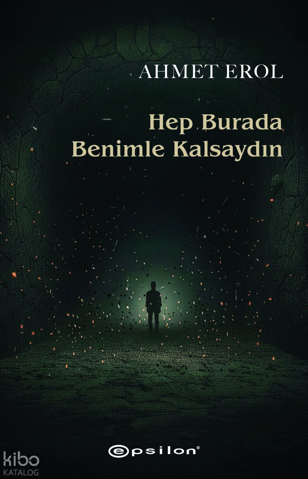 Hep Burada Benimle Kalsaydın - Ahmet Erol