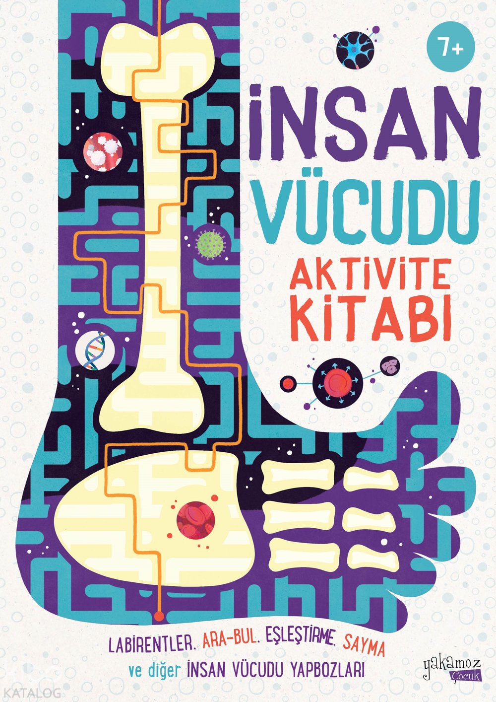 İnsan Vücudu Aktivite Kitabı - Ben Elcomb