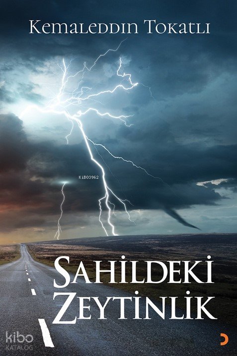 Sahildeki Zeytinlik