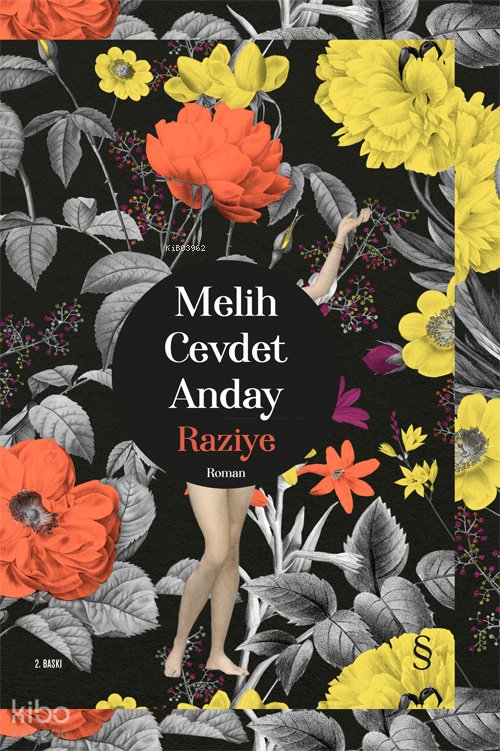 Raziye - Melih Cevdet Anday
