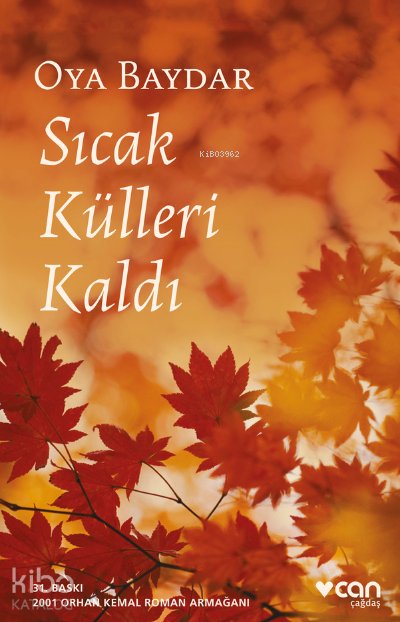Sıcak Külleri Kaldı - Oya Baydar