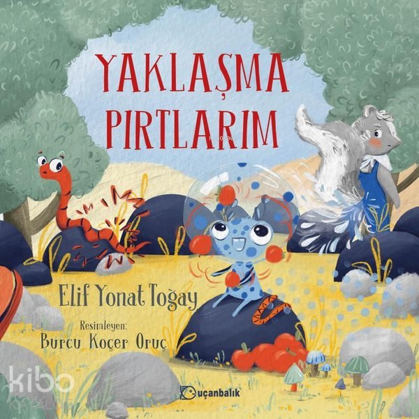 Yaklaşma Pırtlarım - Elif Yonat Toğay