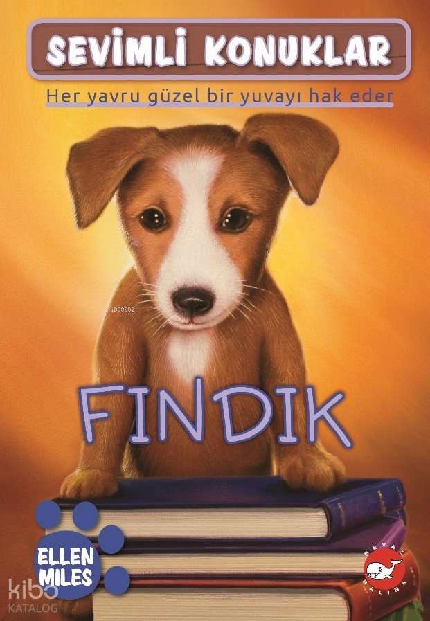 Fındık