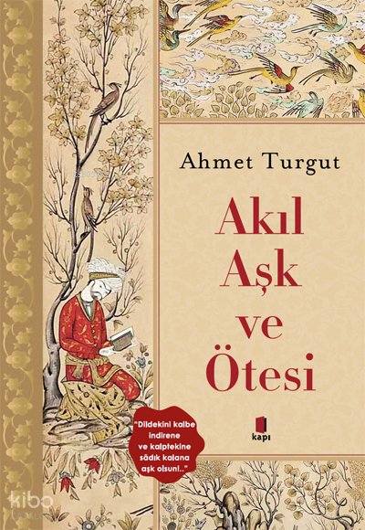 Akıl Aşk ve Ötesi - Ahmet Turgut