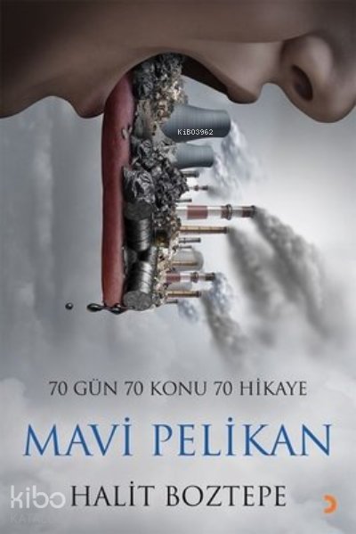 Mavi Pelikan - Halit Boztepe