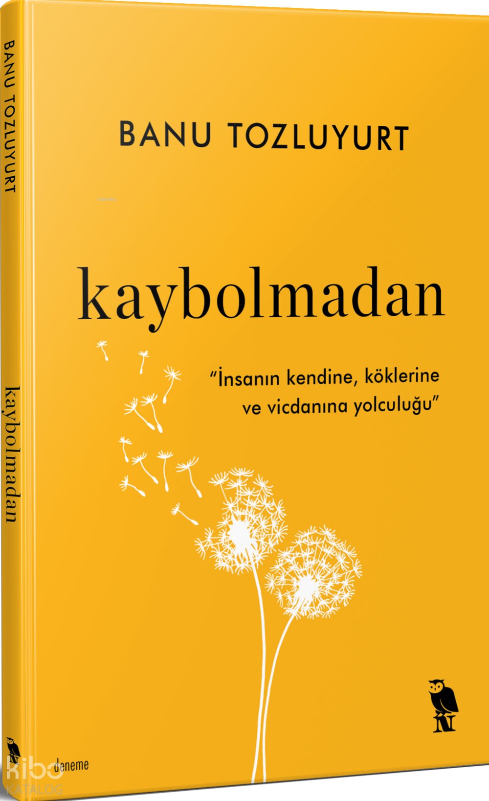 Kaybolmadan - Banu Tozluyurt