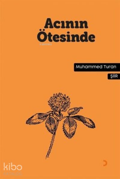 Acının Ötesinde