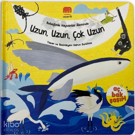 Uzun, Uzun, Çok Uzun