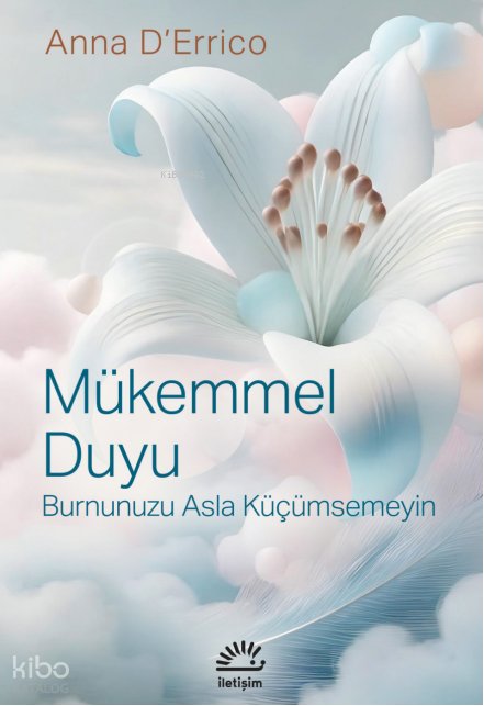 Mükemmel Duyu