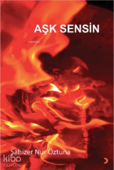 Aşk Sensin - Şahizer Nur Öztuna