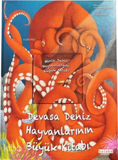 Devasa Deniz Hayvanlarının Büyük Kitabı ve Minik Deniz Hayvanlarının Küçük Kitabı - Cristina Banfi