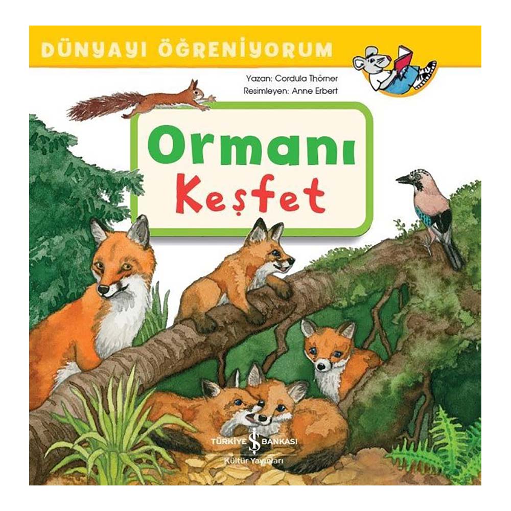 DÜNYAYI ÖĞRENİYORUM - ORMANI KEŞFET