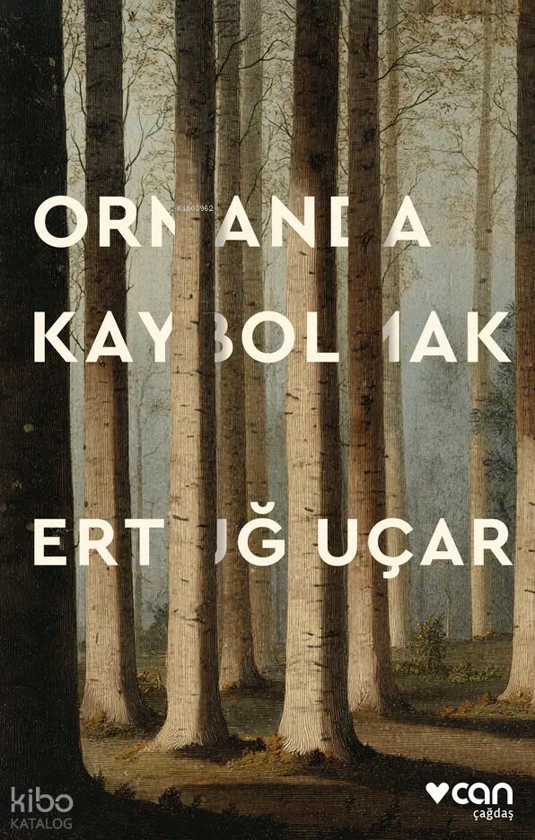 Ormanda Kaybolmak