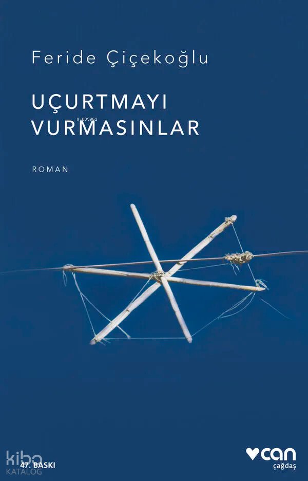 Uçurtmayı Vurmasınlar - Feride Çiçekoğlu