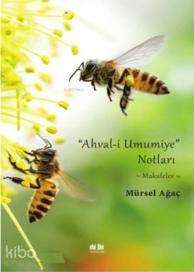 Ahvalı Umumiye Notları - Mürsel Ağaç