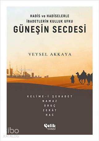 Güneşin Secdesi - Veysel Akkaya