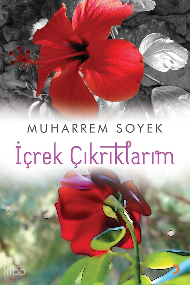 İçrek Çıkrıklarım - Muharrem Soyek