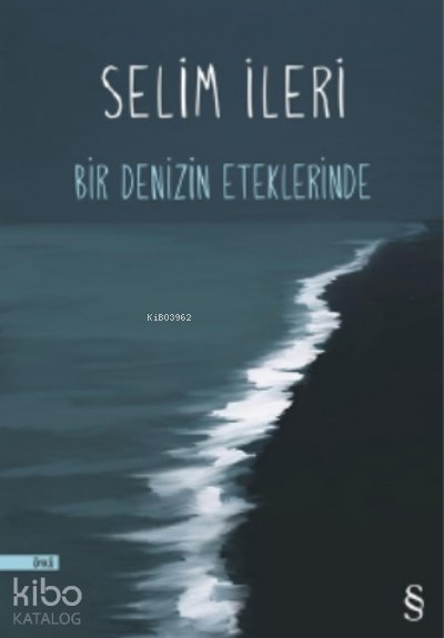 Bir Denizin Eteklerinde - Selim İleri