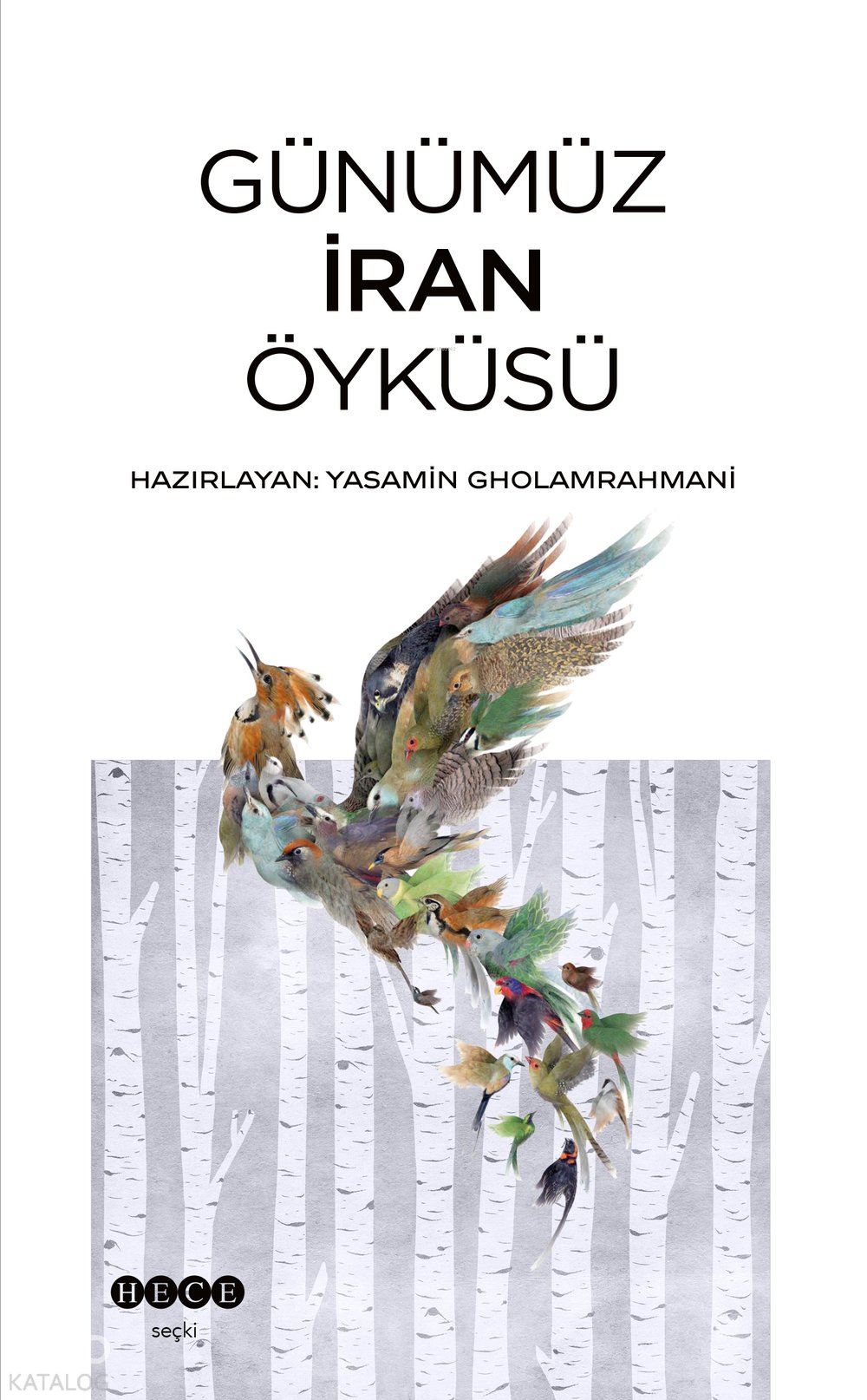 Günümüz İran Öyküsü - Yasamin Cholamrahmani