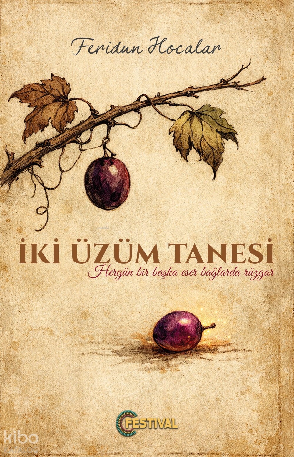 İki Üzüm Tanesi - Feridun Hocalar