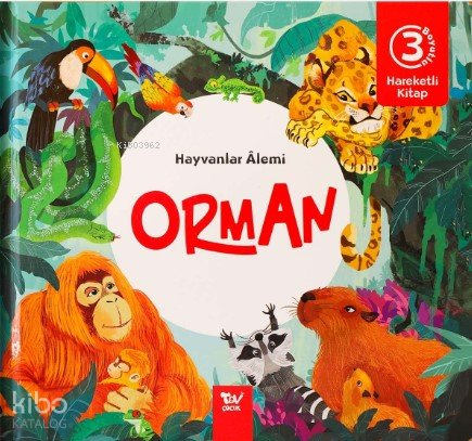 Hayvanlar Alemi Orman