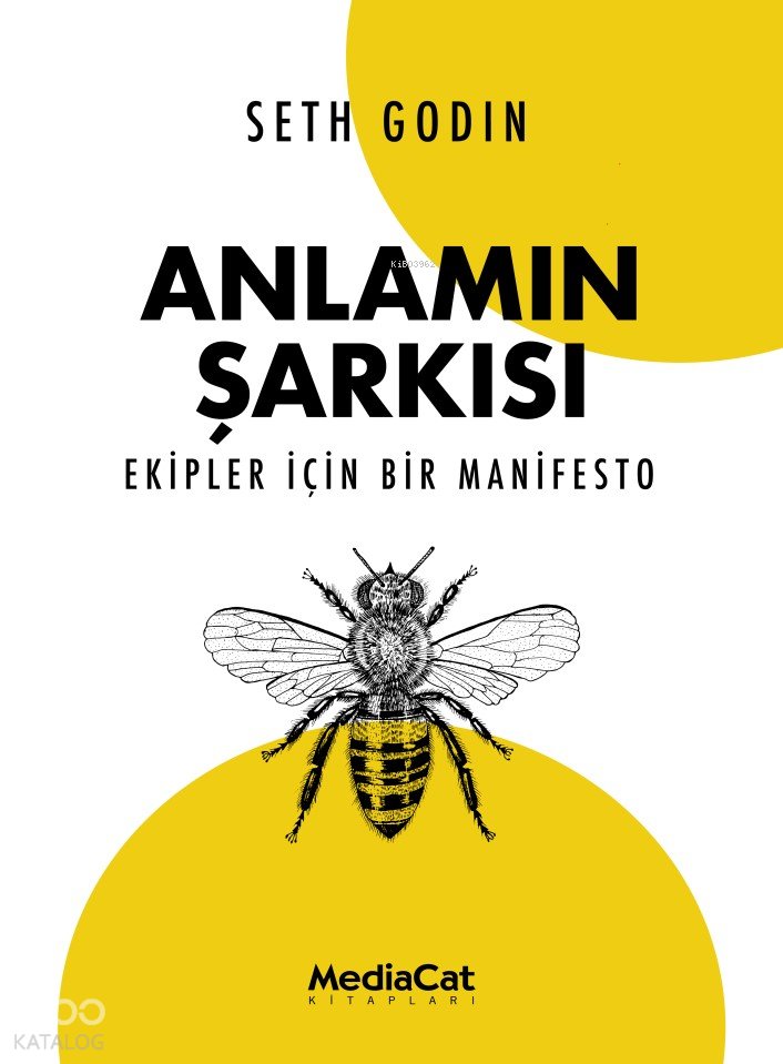 Anlamın Şarkısı