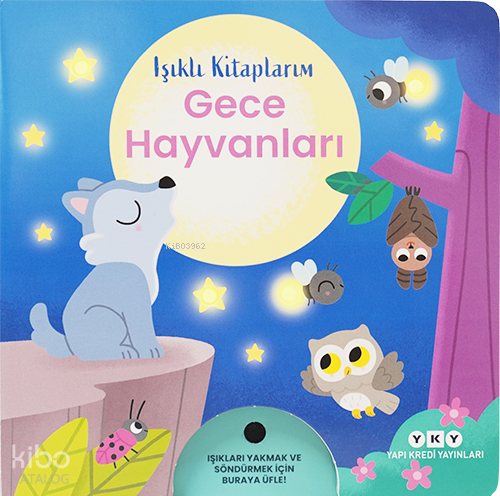 IŞIKLI KİTAPLARIM - GECE HAYVANLARI - Kolektif -