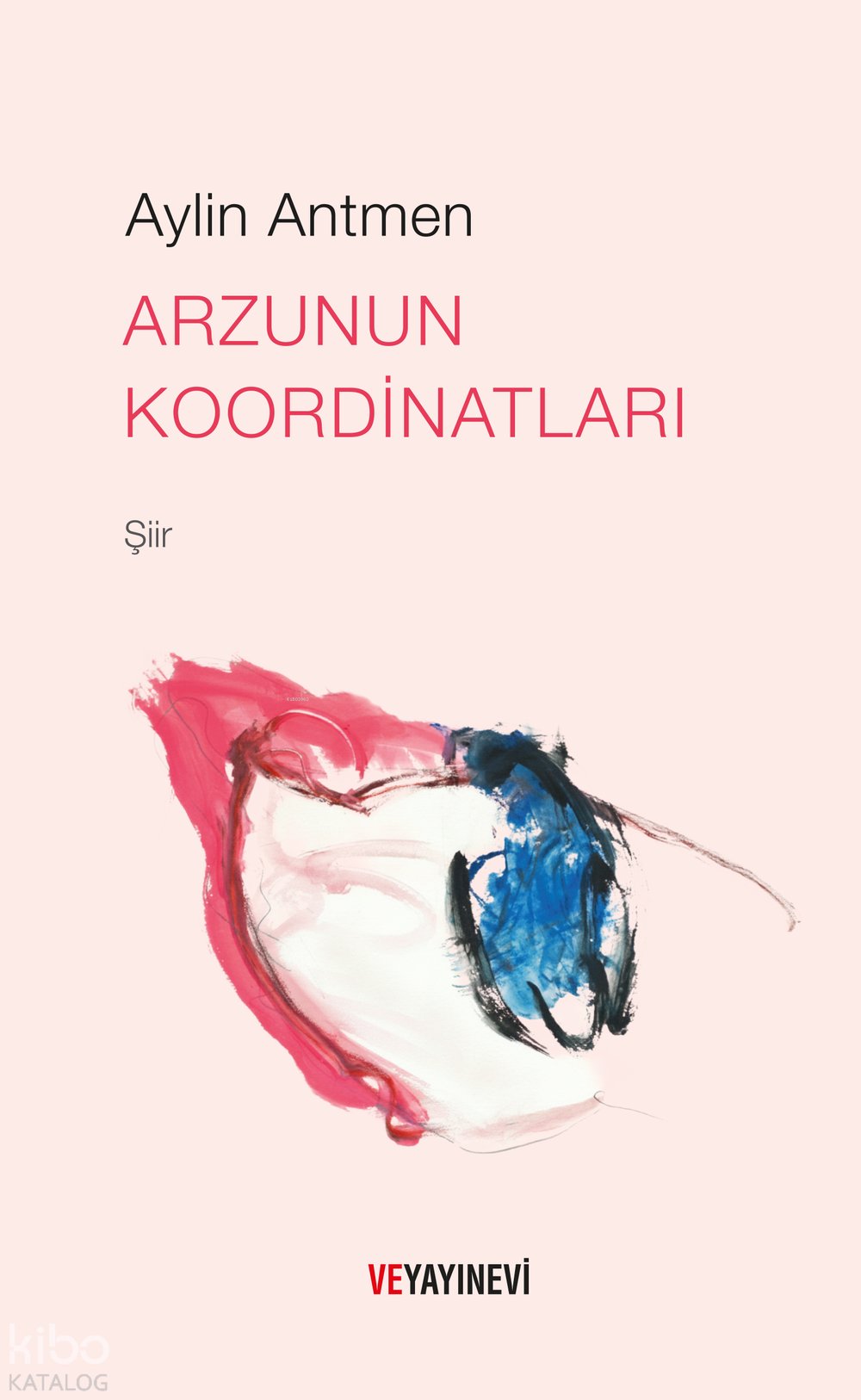 Arzunun Koordinatları - Süreyya Aylin Antmen