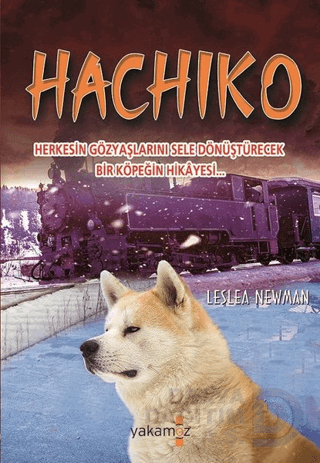 HACHIKO (KARTON KAPAK)