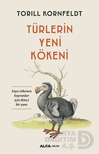 TÜRLERİN YENİ KÖKENİ