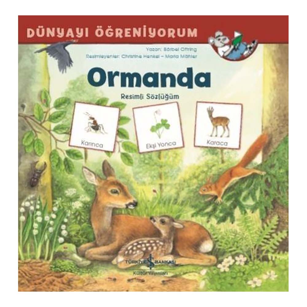 DÜNYAYI ÖĞRENİYORUM - ORMANDA