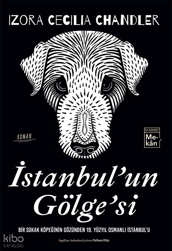 İSTANBULUN GÖLGESİ