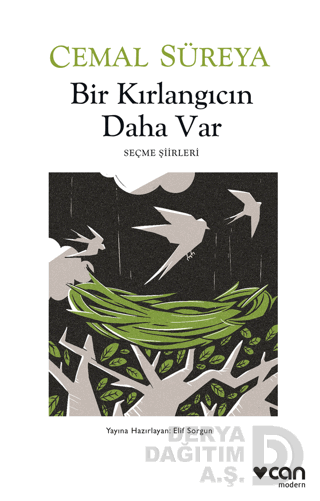 Bir Kırlangıcın Daha Var