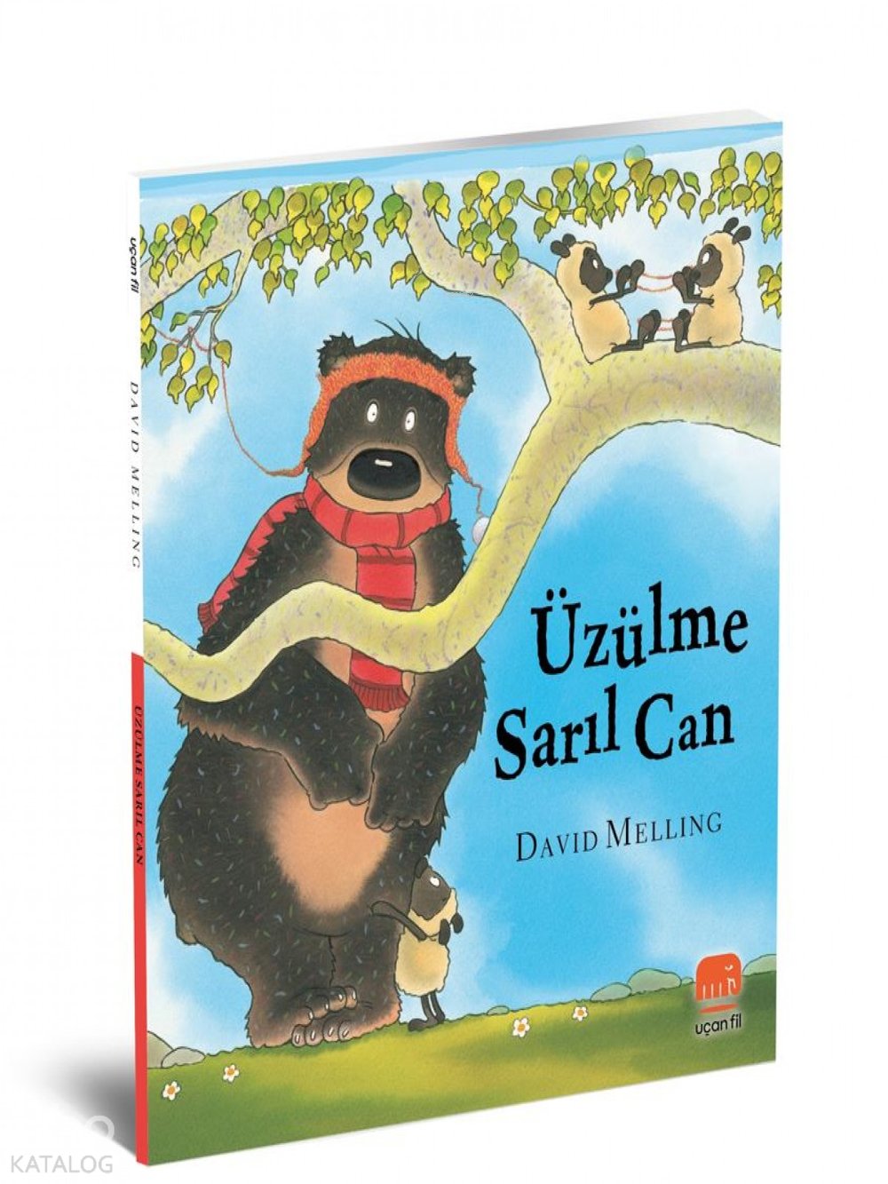 Üzülme Sarıl Can - David Melling